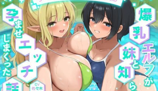 【2時間40分】ゲーム世界に閉じ込められた俺は爆乳エルフが妹と知らず孕ませエッチしまくった話【バイノーラル/兄妹/ファン…